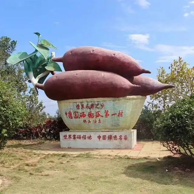 澄迈桥头地瓜核心产区