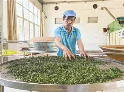 海南日报 | 用地理标志点“土”成金
