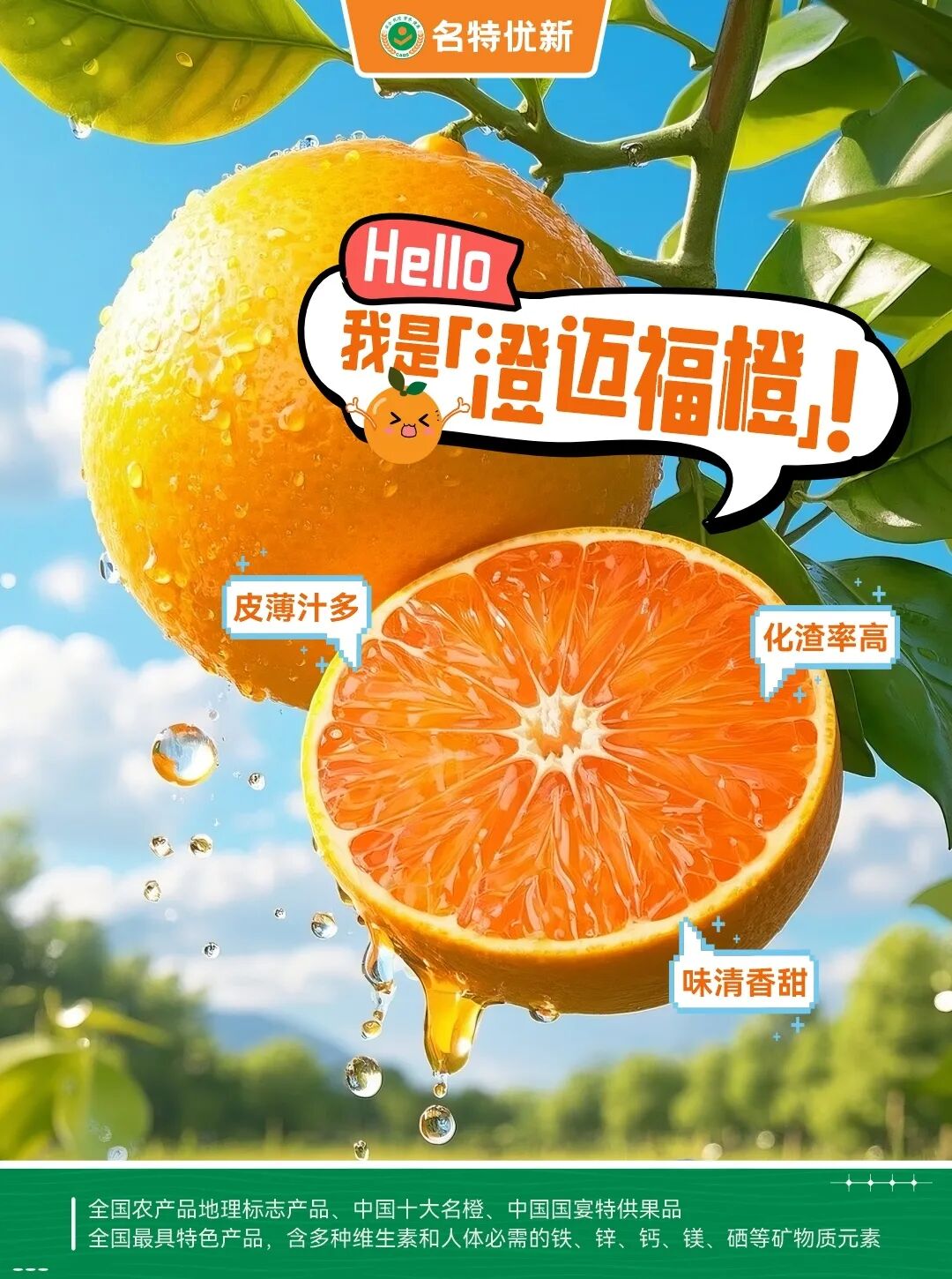 全国名特优新农产品丨澄迈福橙
